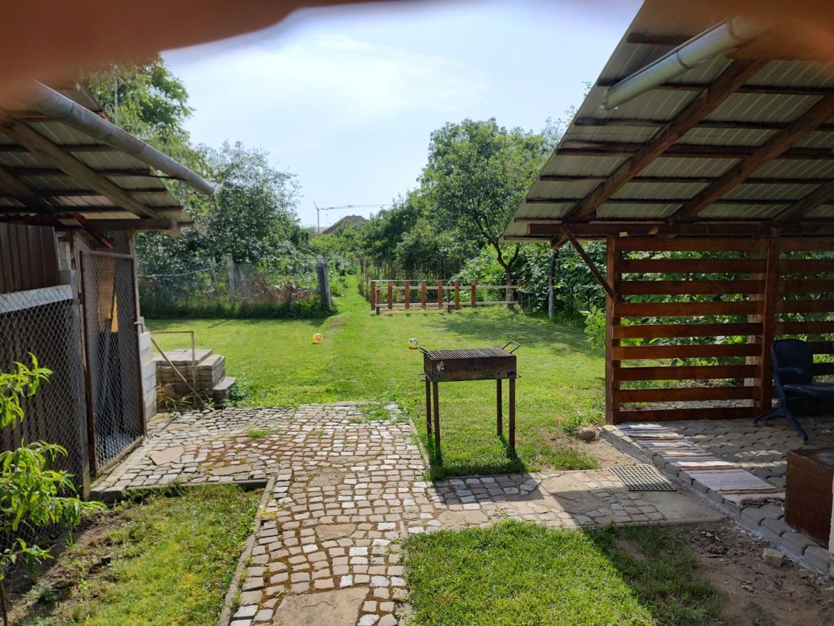 Vicky House Daire Făgăraş Dış mekan fotoğraf