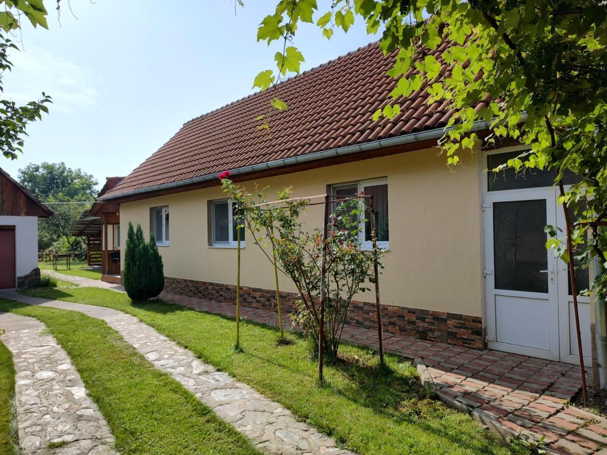 Vicky House Daire Făgăraş Dış mekan fotoğraf