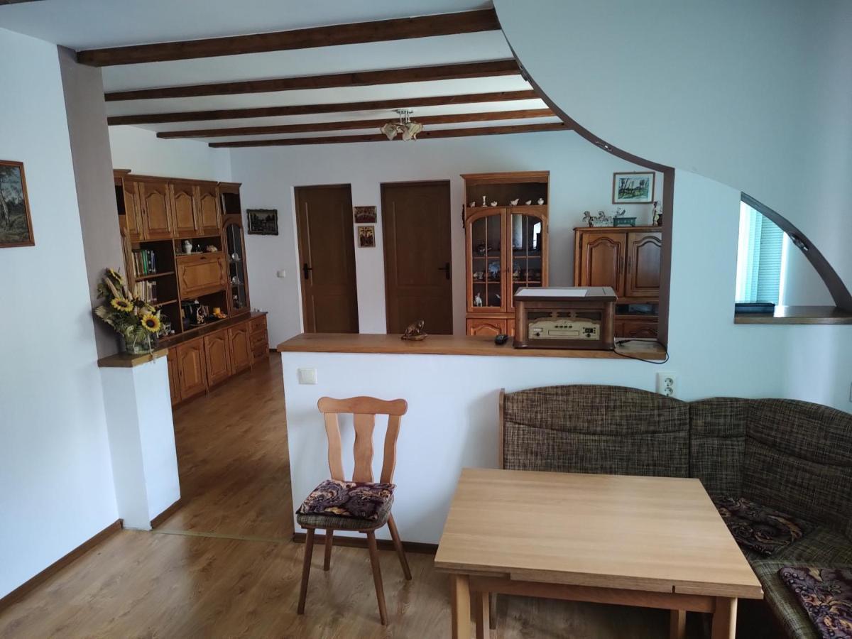 Vicky House Daire Făgăraş Dış mekan fotoğraf