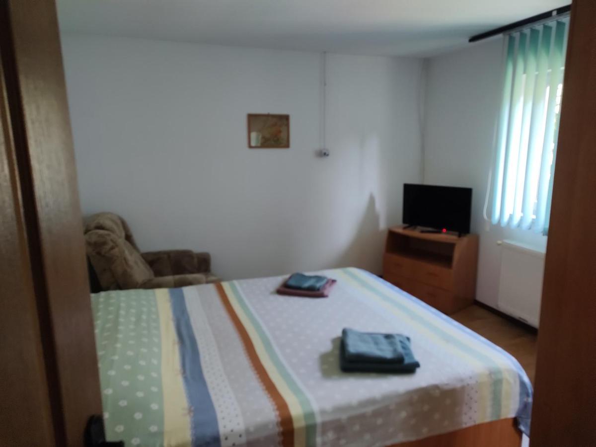 Vicky House Daire Făgăraş Dış mekan fotoğraf