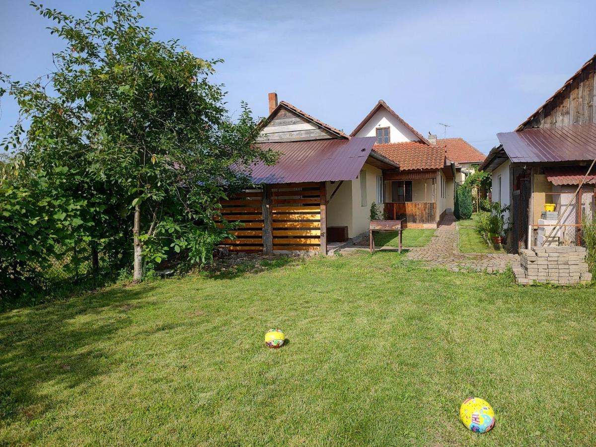 Vicky House Daire Făgăraş Dış mekan fotoğraf