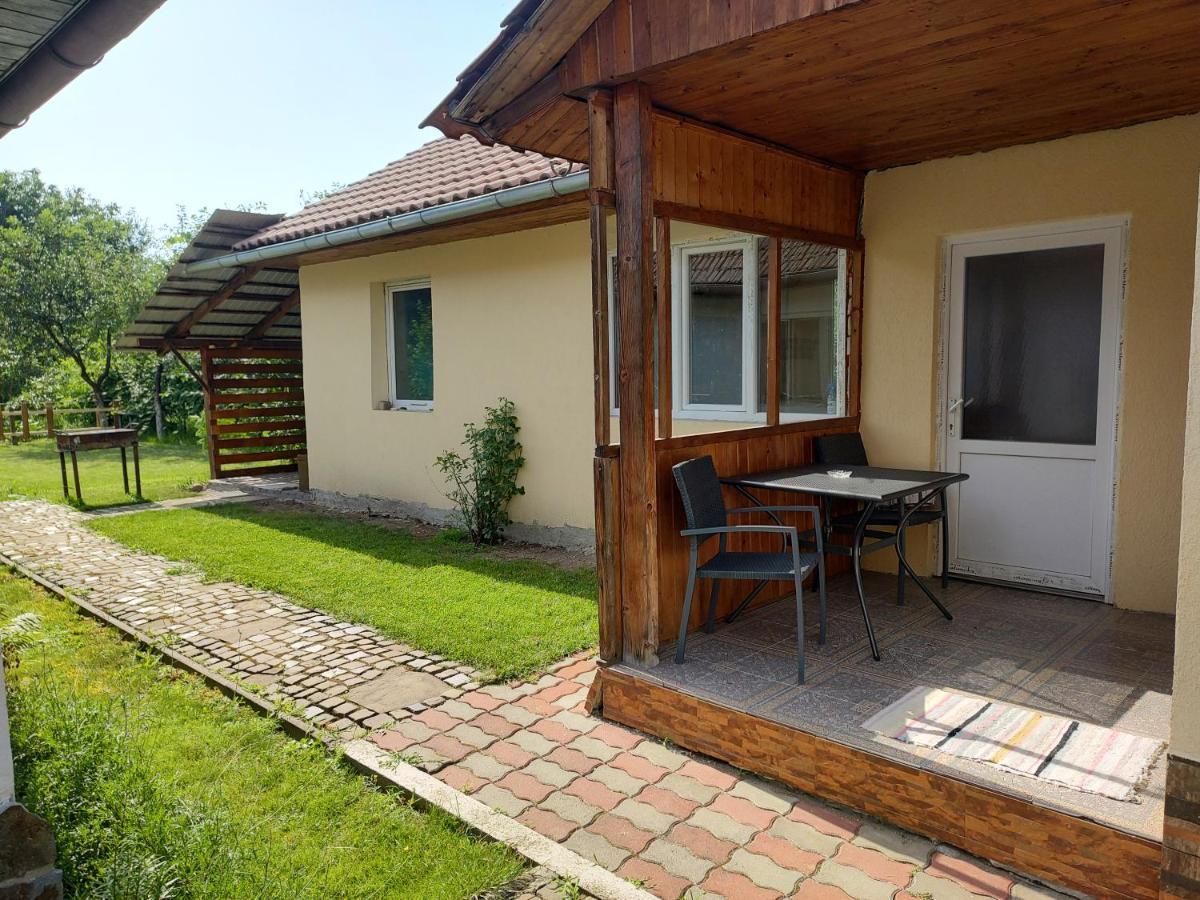 Vicky House Daire Făgăraş Dış mekan fotoğraf