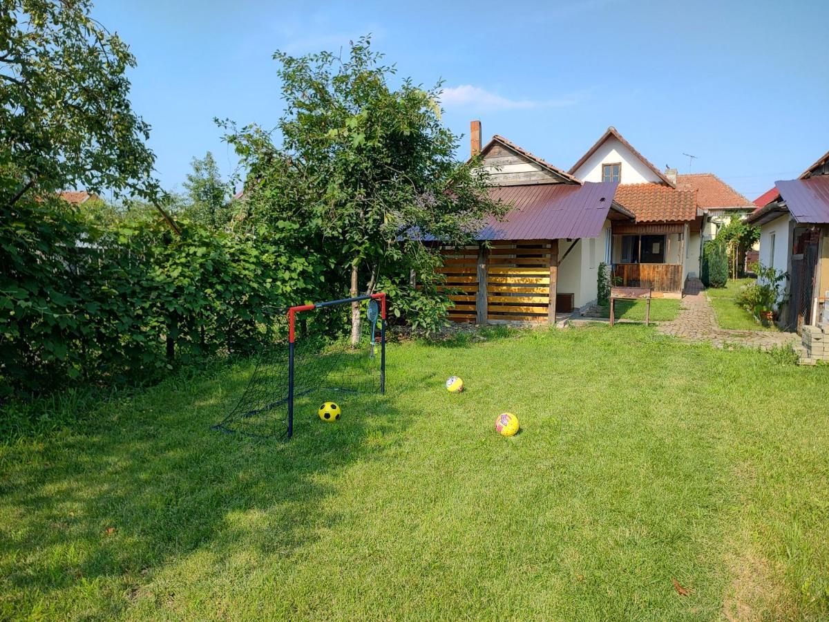 Vicky House Daire Făgăraş Dış mekan fotoğraf